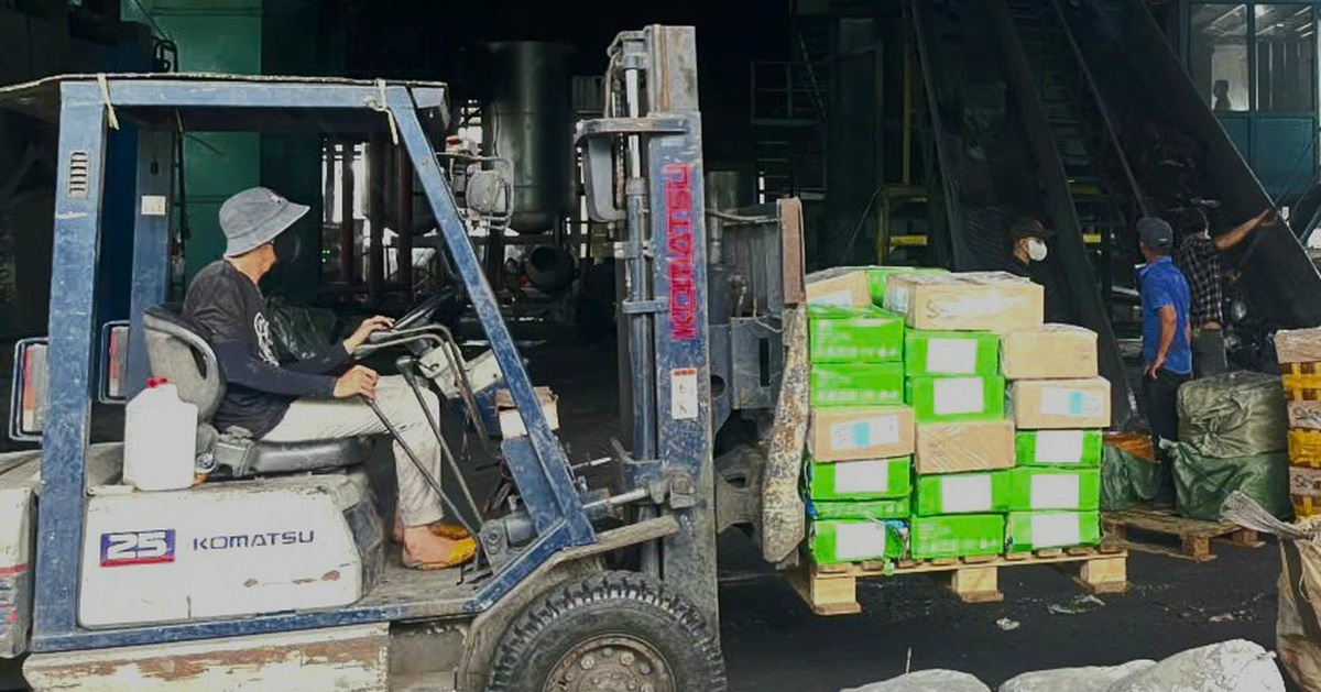 Đồng Nai tiêu hủy hơn 30 tấn vú heo, dồi trường heo, sụn gà bẩn