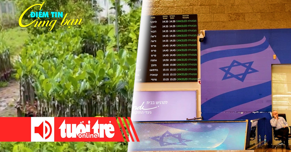 Điểm tin 8h: Phạt tiền chủ cơ sở cây giống ở Hậu Giang; 40.000 du khách mắc kẹt tại Israel