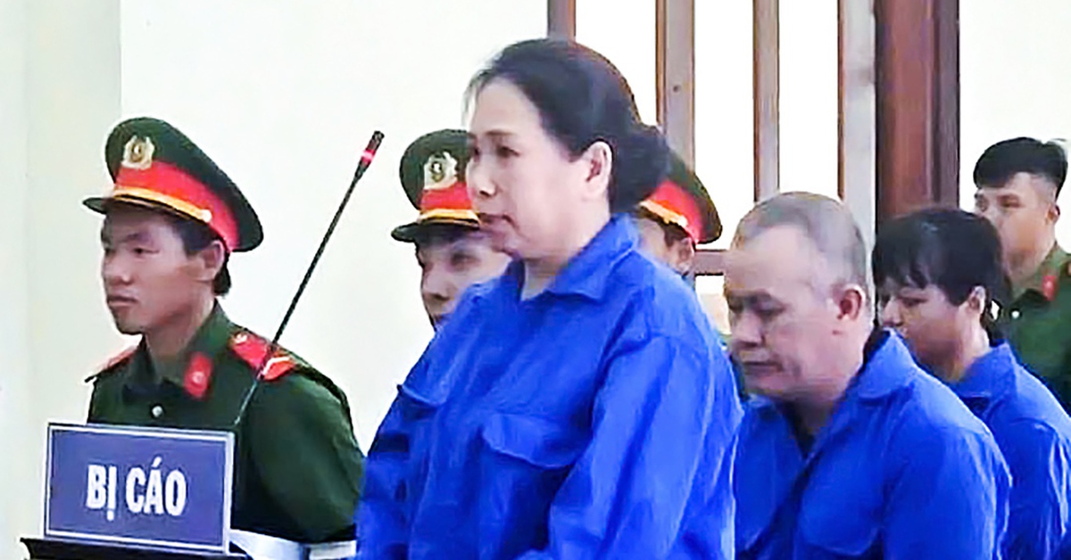Nhóm đánh tráo sổ đỏ đi lừa đảo ở Long An lãnh từ 11 đến 15 năm tù