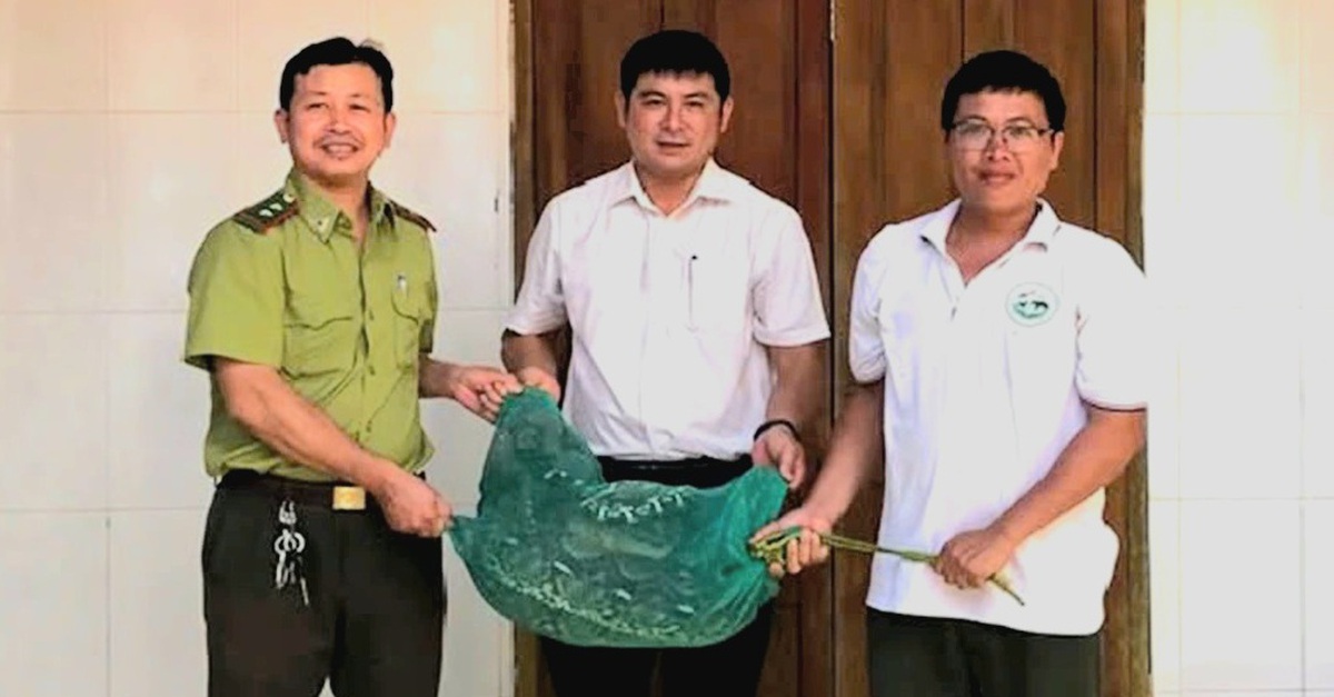 Con trăn 21kg vào nhà bắt gà, dân bắt giao lực lượng bảo vệ rừng