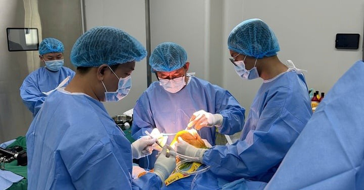 Kỹ thuật mới trong thay khớp háng, bệnh nhân xuất viện sau 24 giờ