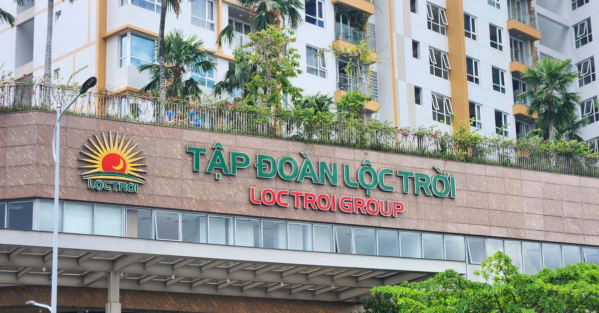 Tập đoàn lúa gạo Lộc Trời dự kiến lỗ lớn, hủy chia cổ tức