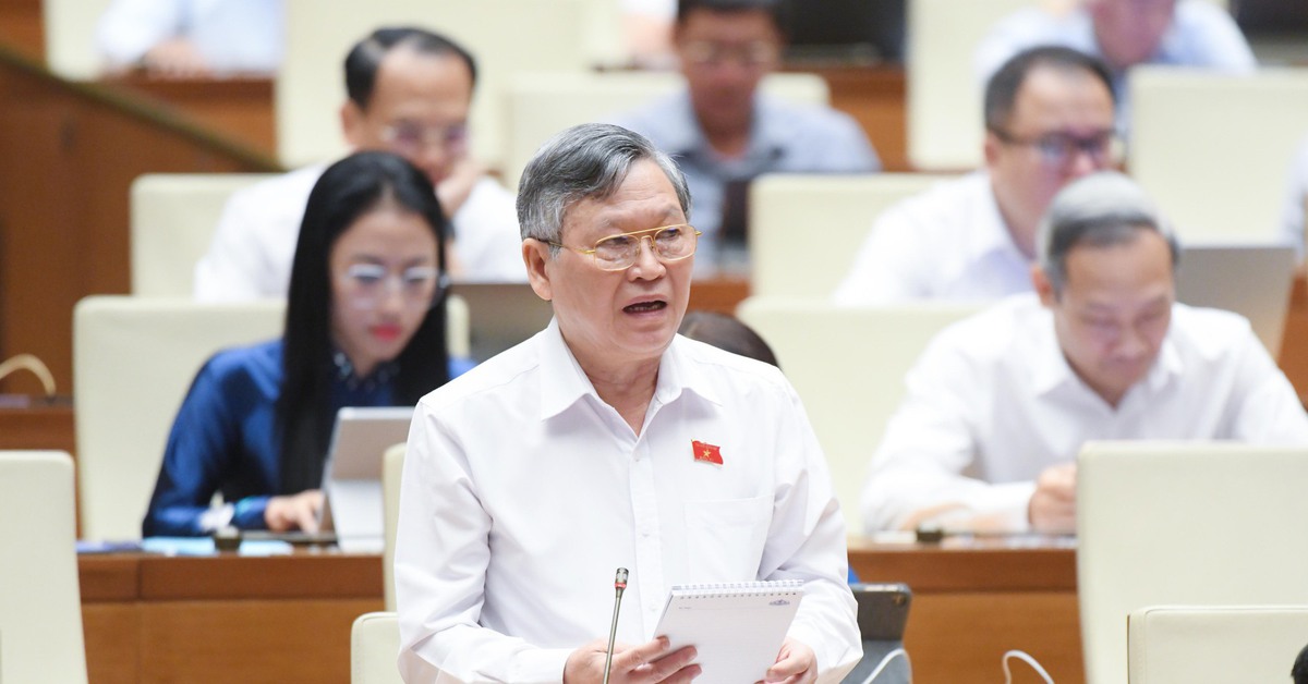 Có 'móc ngoặc' của một số cán bộ với hàng giả, hàng nhái, đại biểu đề nghị kiểm tra cơ quan quản lý