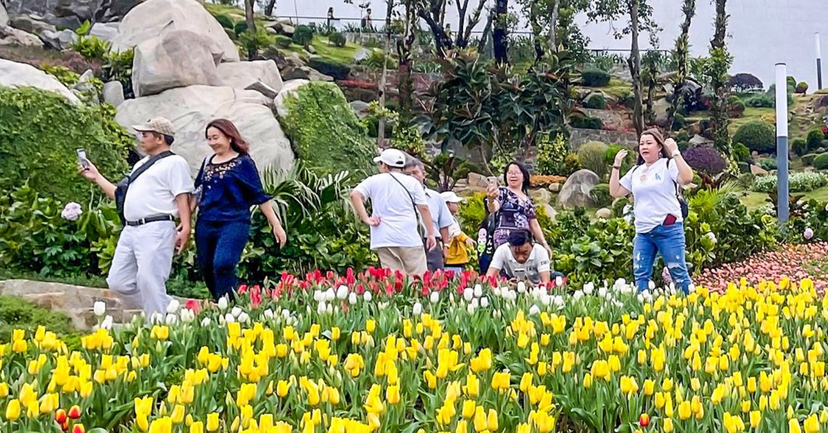 Tây Ninh đón 3,2 triệu khách du lịch, vượt 2.300 tỉ đồng trong 5 tháng