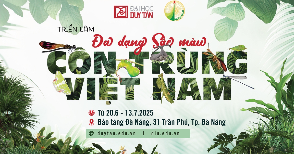 Triển lãm đầu tiên về đa dạng côn trùng Việt Nam của ĐH Duy Tân và Trường ĐH Đà Lạt