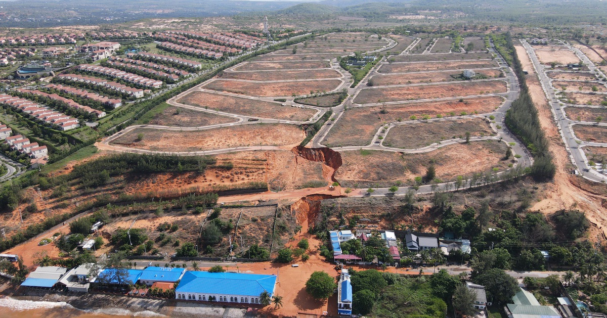 Miễn nhiệm Chủ tịch Mũi Né Bùi Ngọc Lâm