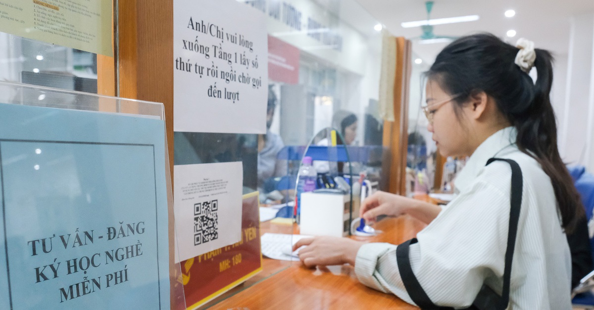 Mất việc ở tuổi 40: Khi sự ổn định trở thành chiếc 'bẫy ngọt ngào'