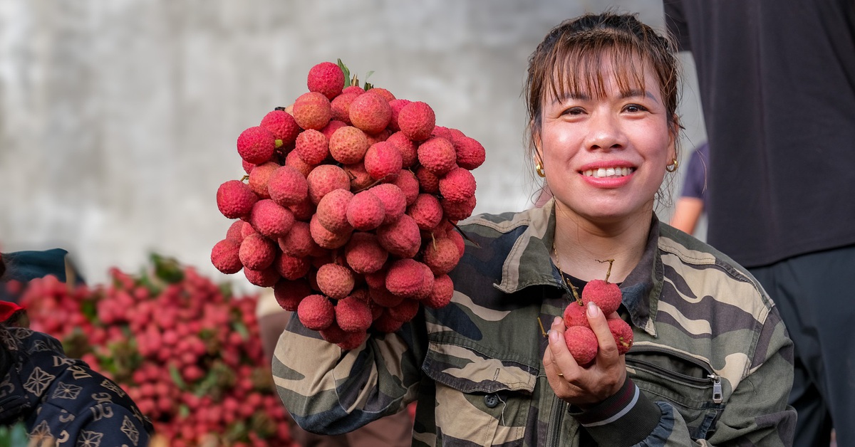 Điệp khúc vải thiều 'được mùa mất giá', nông dân gồng mình đẩy hàng