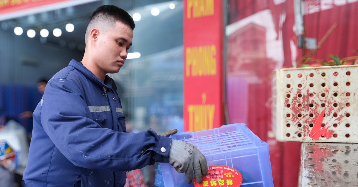 Kiếm tiền triệu mỗi ngày giữa mùa vải thiều Bắc Giang
