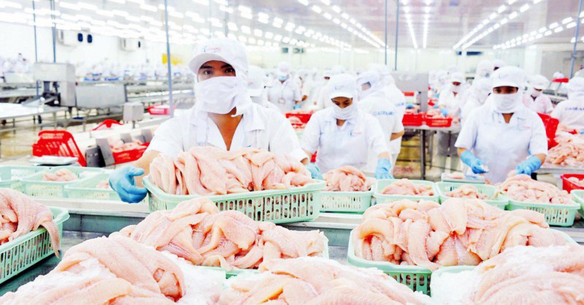Cá tra Việt Nam nhận tin vui lớn từ Mỹ