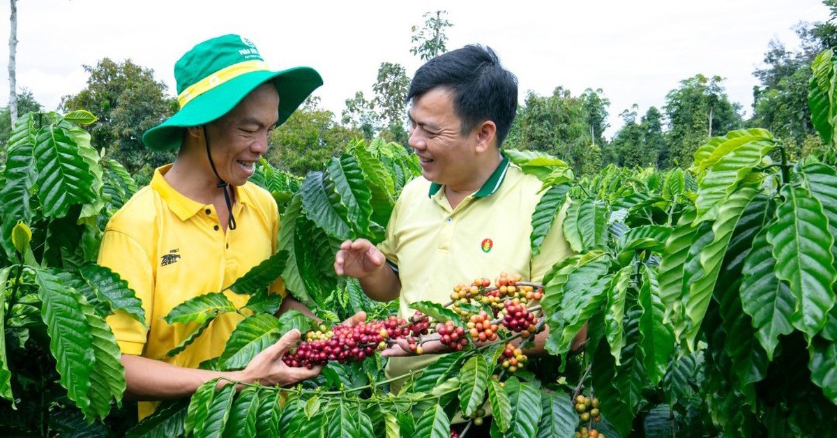 Doanh nghiệp phân bón giữ giá bán giữa biến động đầu vào
