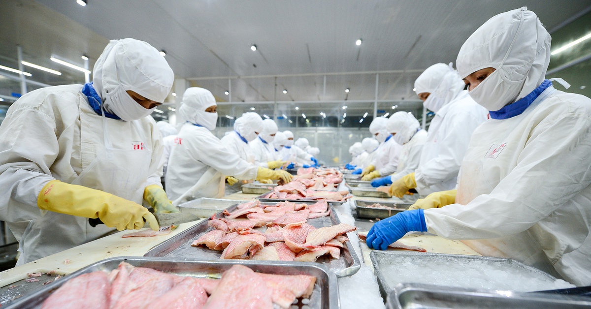 Cá tra Việt Nam nhận tin vui lớn từ Mỹ