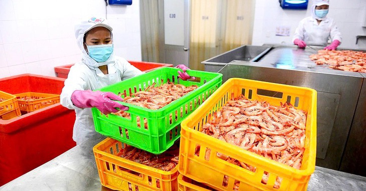 Thủy sản Việt tăng tốc ấn tượng, VASEP kiến nghị Thủ tướng có biện pháp bảo vệ