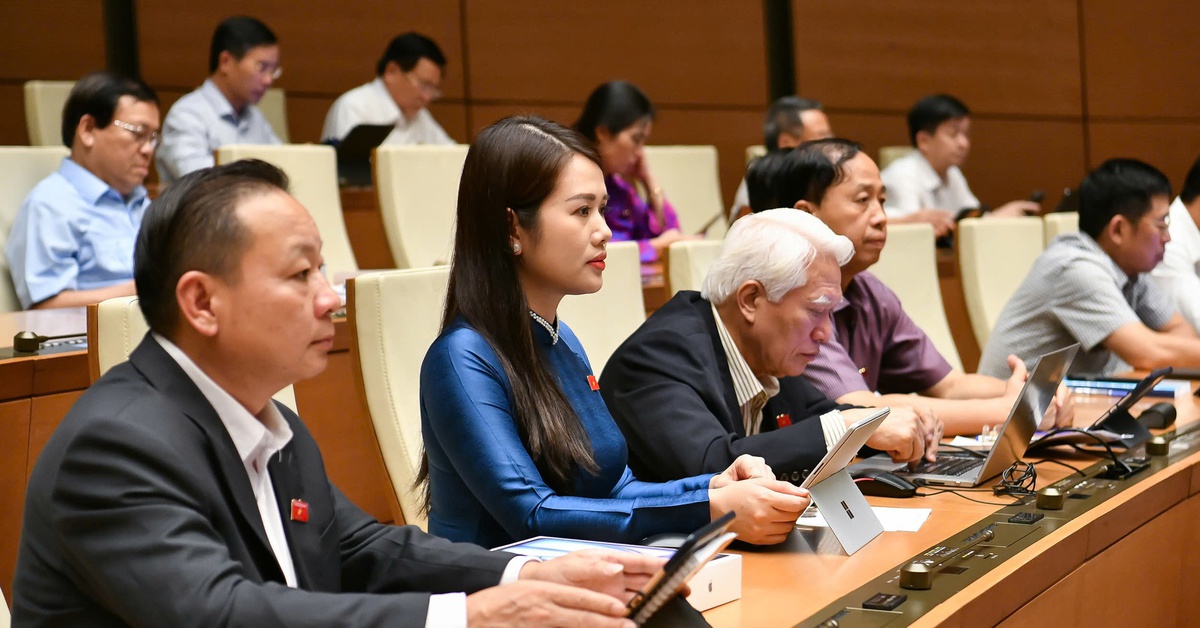 Quốc hội thông qua mô hình tổ chức mới của cơ quan thanh tra trên cả nước