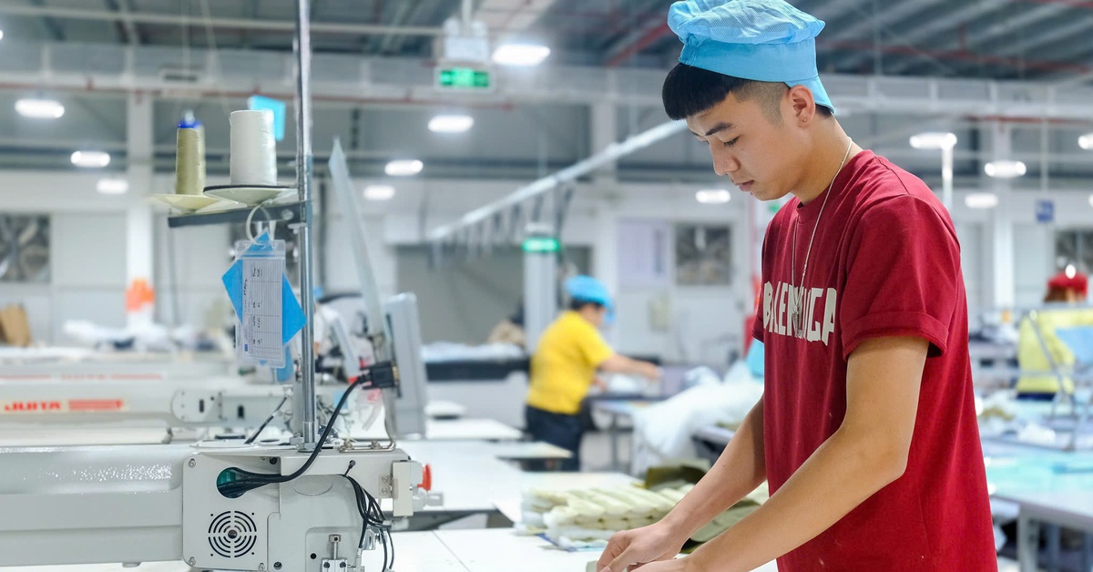 Đề xuất tăng phạt tiền tới 400 triệu đồng hoặc phạt tù 1-3 năm khi sa thải lao động trái pháp luật