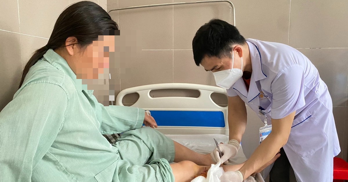 Một bệnh viện tiếp nhận 20 bệnh nhân bị chó cắn trong 1 tháng