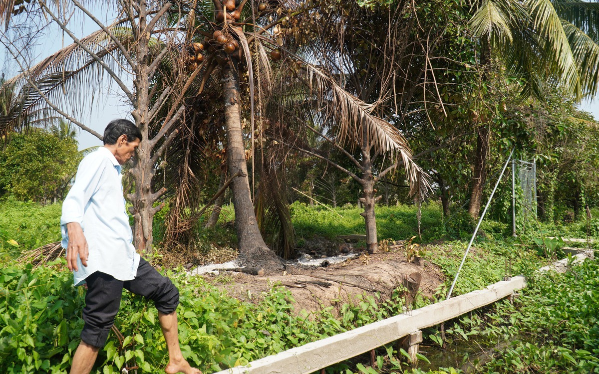 Vụ 'mua đất ở quê để dưỡng già nhưng bị hàng xóm gây khó dễ': Hàng xóm có tiền sử bệnh tâm thần?