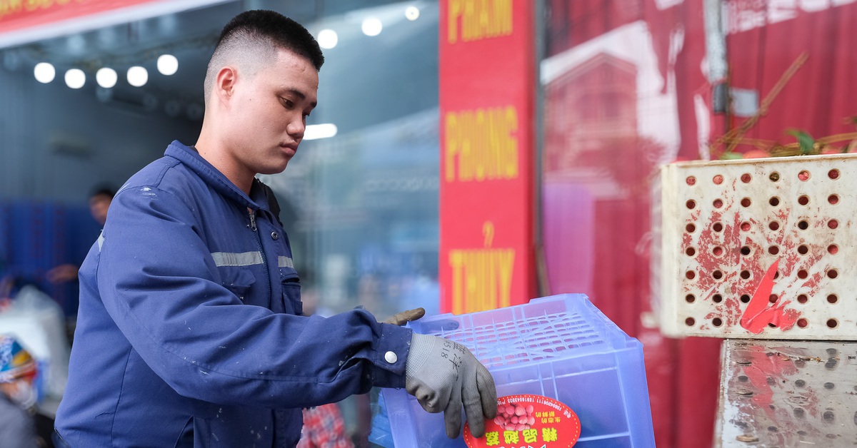 Lương thấp, 73% lao động độc thân ngại cưới, sinh con