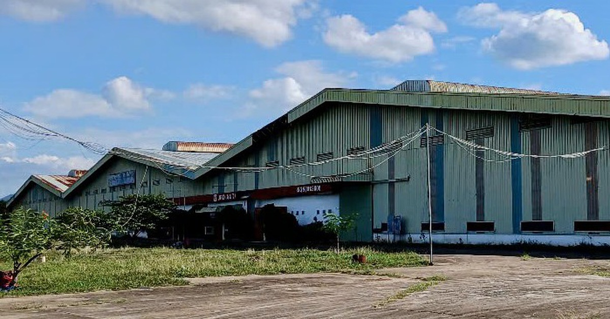 Phát hiện tổng giám đốc công ty sản xuất ô tô người nước ngoài tử vong trên sàn nhà