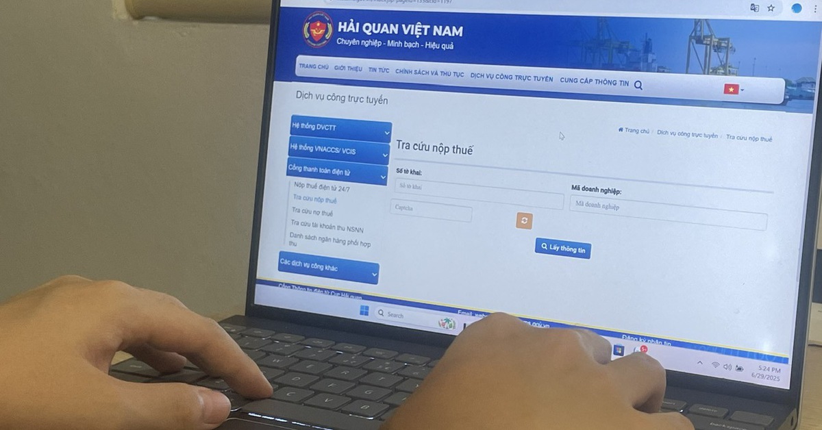 Tạm dừng tiếp nhận khai hải quan trong 7 giờ
