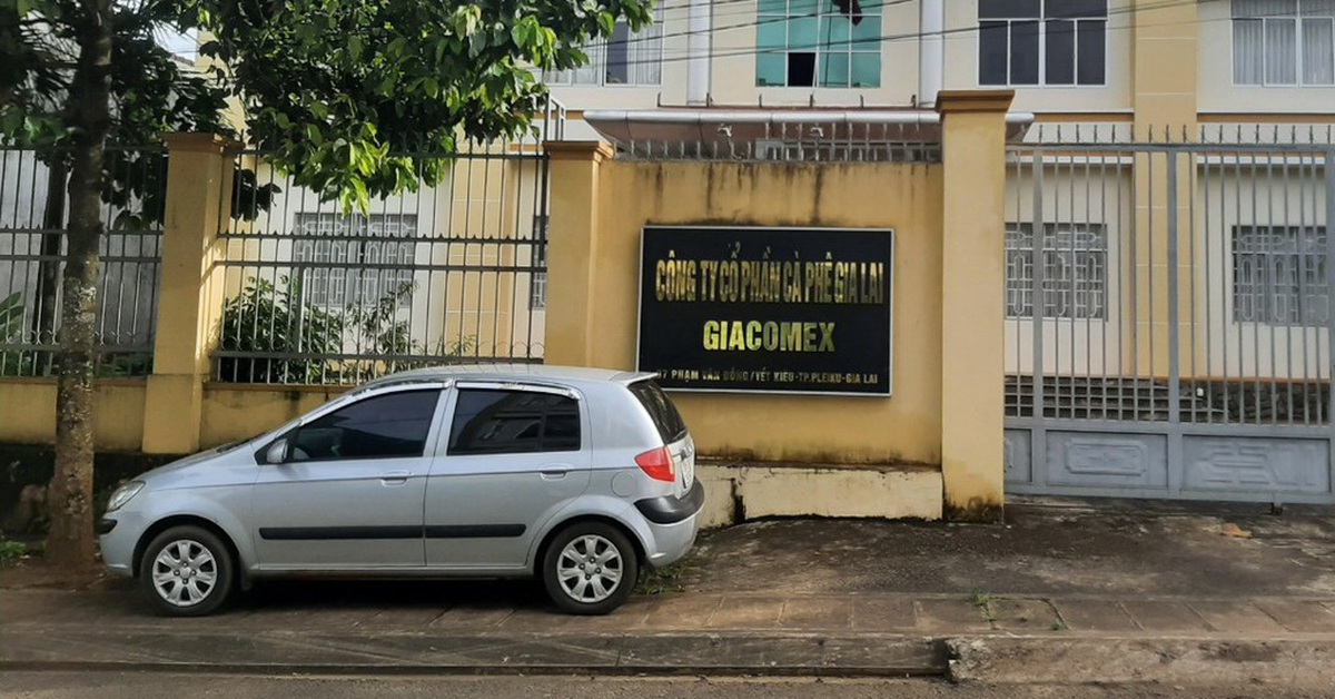Thanh tra toàn diện Công ty một thành viên Cà phê Gia Lai