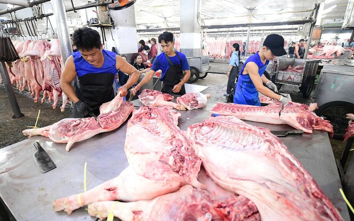Oversight lapses blamed for contaminated pork in Ho Chi Minh City