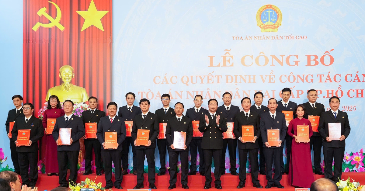 Bổ nhiệm 19 chánh án và 96 phó chánh án tòa án khu vực tại TP.HCM