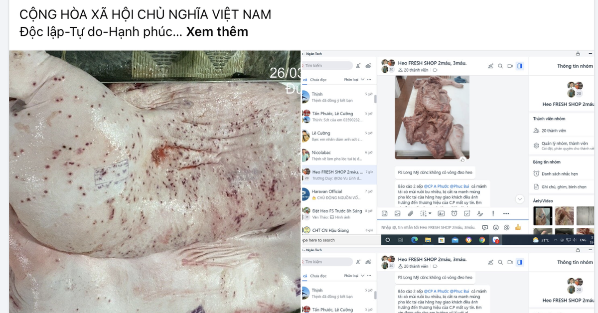 Chính thức đề nghị Bộ Công an điều tra vụ tố Công ty C.P. Việt Nam bán thịt heo bệnh