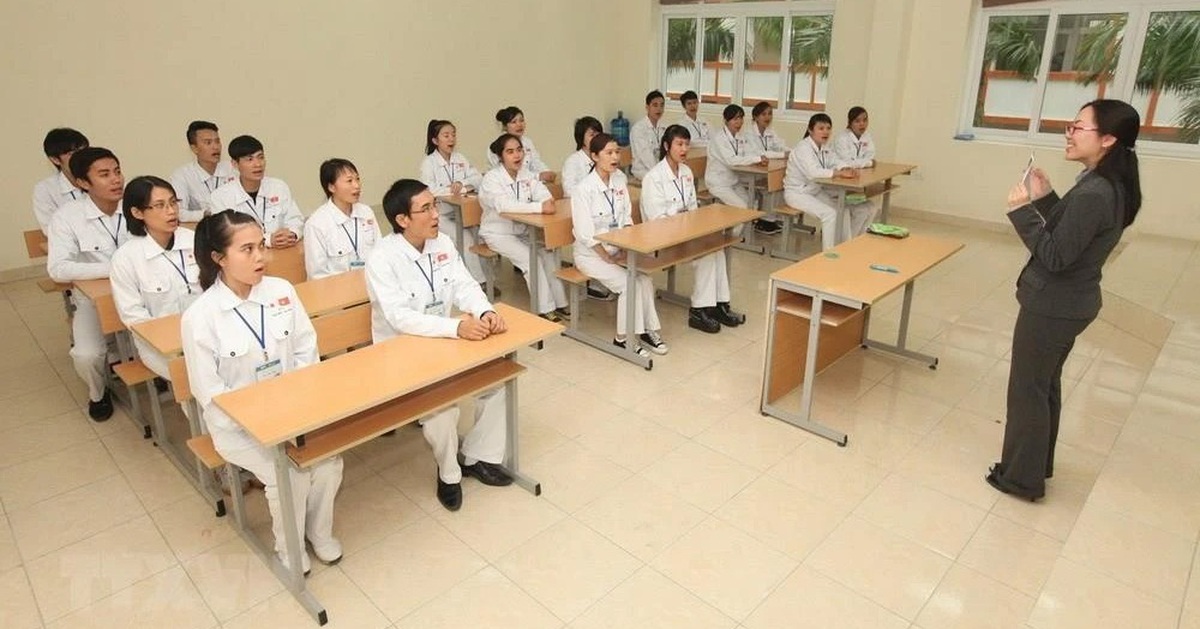 Cập Nhật: Quy Trình Sàng Lọc Sức Khỏe Mới Cho Người Lao Động Việt Sang Nhật Bản - Điều Gì Cần Lưu Ý?