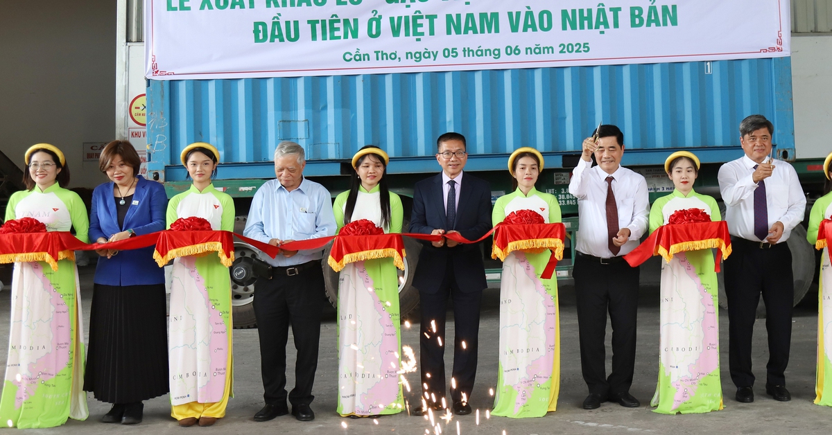 tuoitre.vn