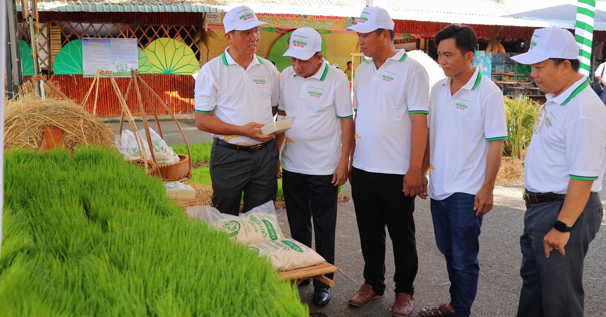 Lan tỏa thông điệp xanh tại Ngày hội Sống xanh, đồng hành cùng kinh tế xanh