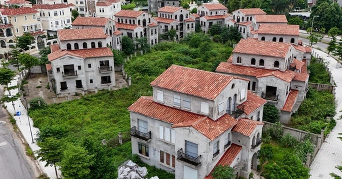 Vì sao lâu đài và kiến trúc tân cổ điển mọc lên ầm ầm ở Việt Nam?
