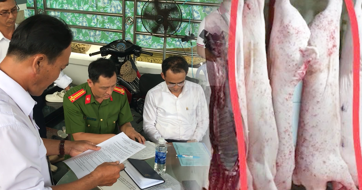 tuoitre.vn