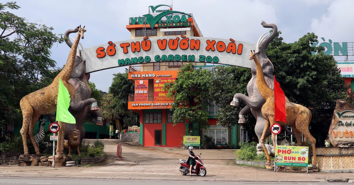 Đồng Nai yêu cầu xử lý 4 vụ vi phạm về đất đai còn tồn đọng, kéo dài nhiều năm