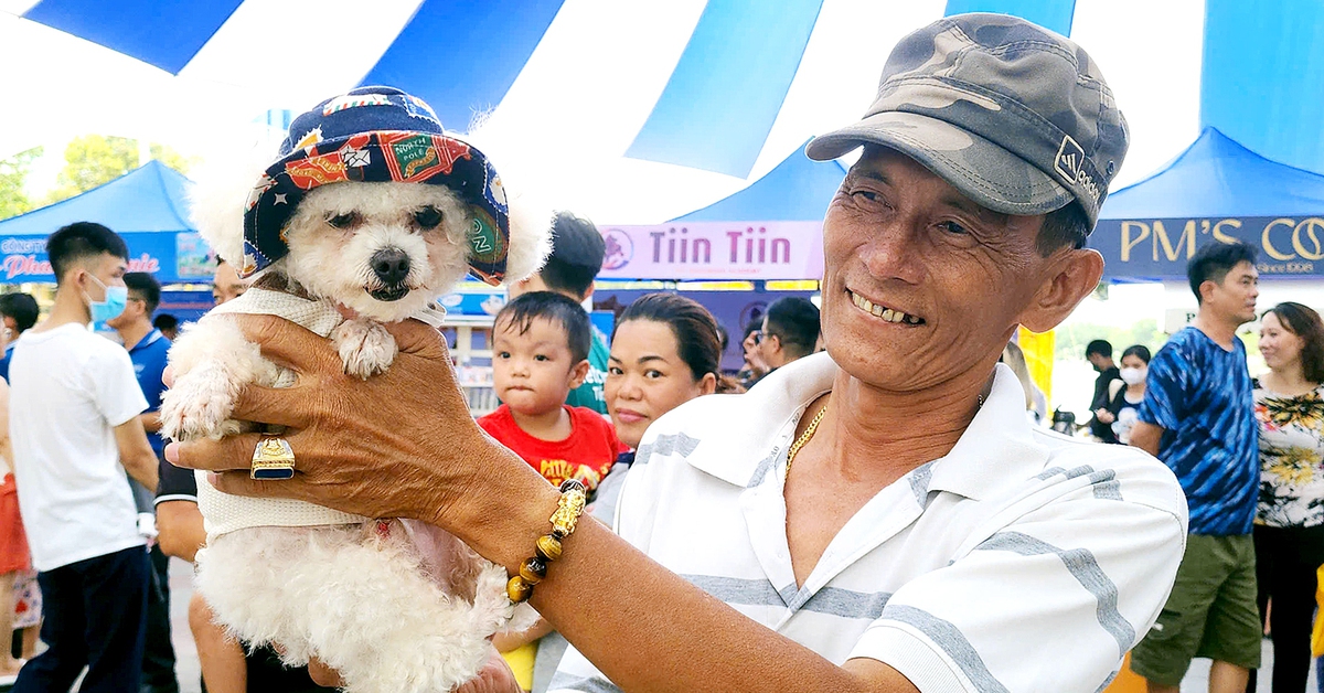 tuoitre.vn