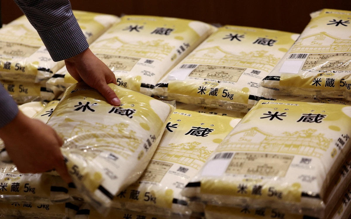 Ông Trump phàn nàn Nhật Bản không mua gạo Mỹ, Tokyo đáp trả cứng rắn