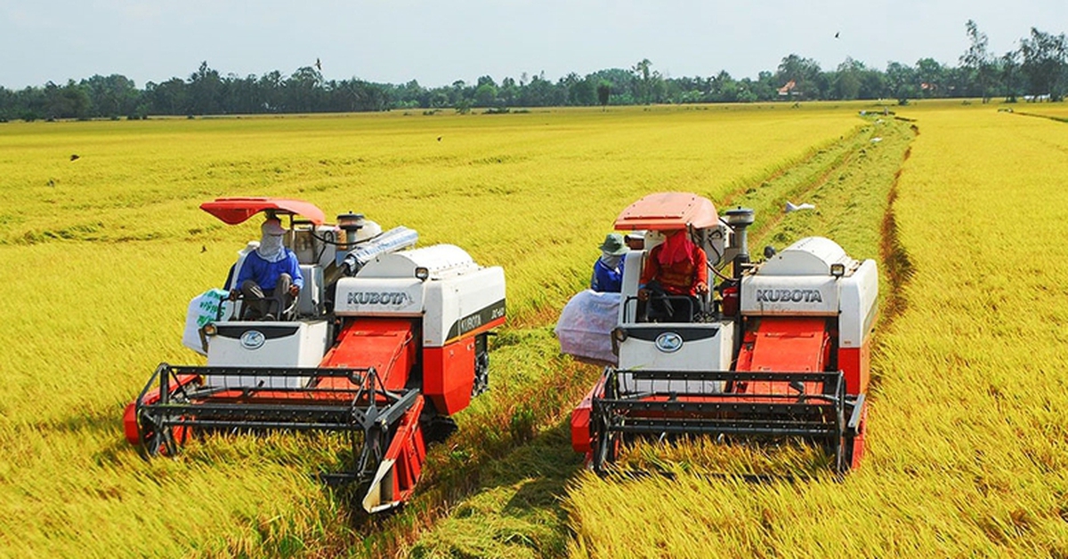 Tổng điều tra nông thôn, nông nghiệp toàn quốc