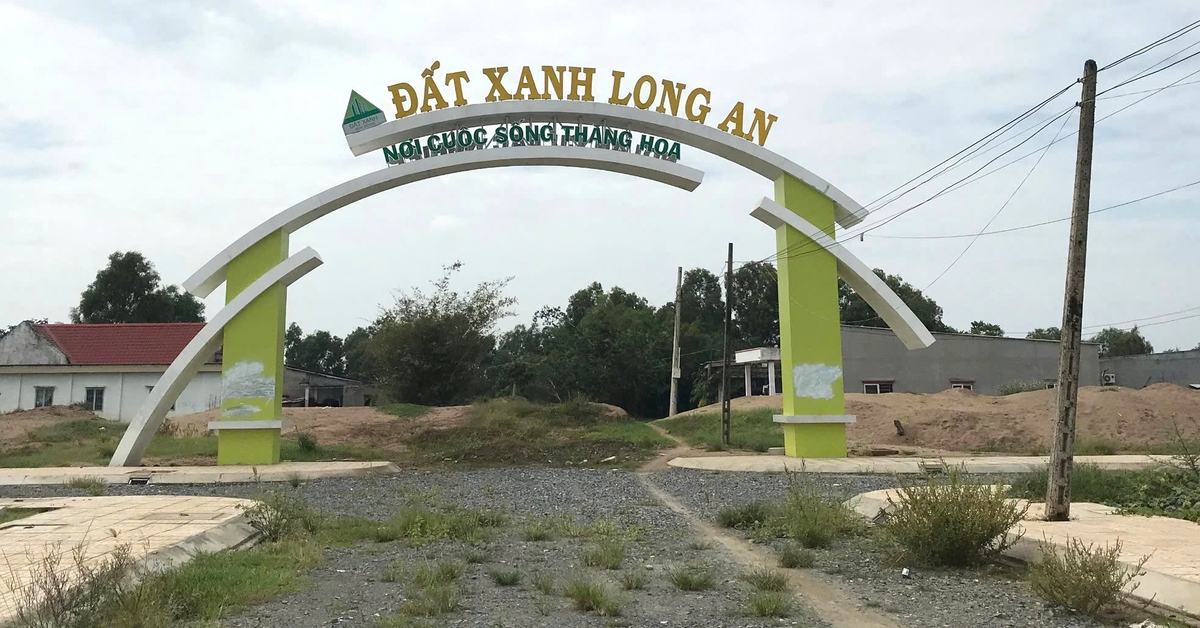 Triệu tập 967 bị hại xét xử vụ lừa đảo Đất Xanh Long An, Hưng Thịnh Cát Tường, Thiên Phúc Hoàng Gia