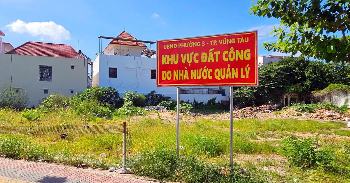 Phường Vũng Tàu yêu cầu thống kê, thu hồi, xử lý đất công bị lấn chiếm