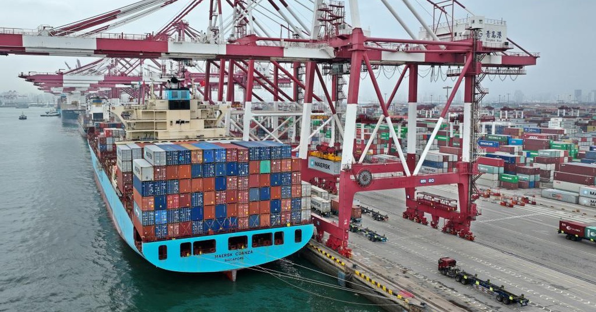 Lần đầu có app đặt xe container, tích hợp cả thủ tục xuất nhập khẩu