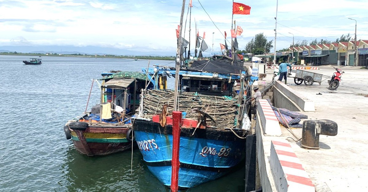 Hai thuyền trưởng tàu cá ở Quảng Ngãi bị phạt hành chính 125 triệu đồng