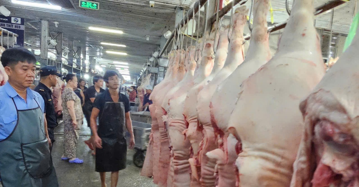Giá heo liên tục giảm do ảnh hưởng dịch bệnh?