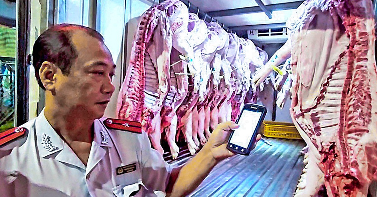 Tỉnh Phú Thọ: Chặn dịch tả heo châu Phi từ lò giết mổ