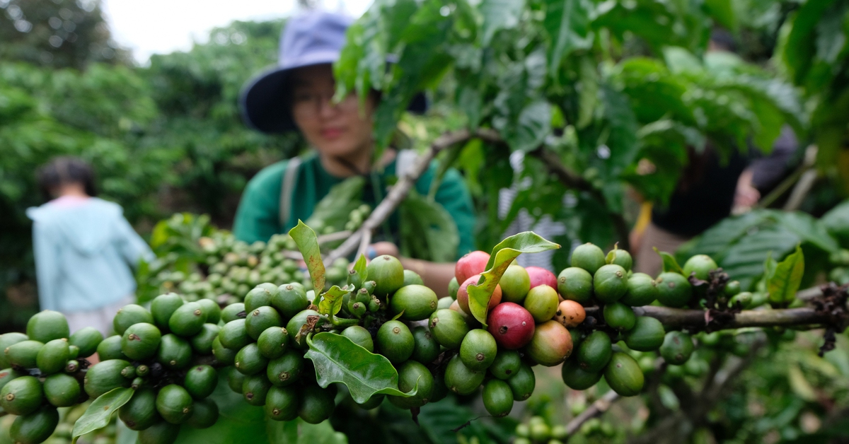 Doanh nghiệp 'chèo chống' với tỉ giá