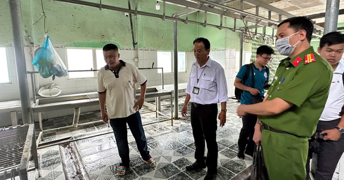 Vụ C.P. Việt Nam bị tố bán heo bệnh: Không khởi tố vụ án vì không có dấu hiệu tội phạm