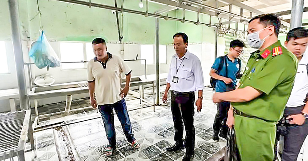 Vụ C.P. Việt Nam bị tố bán heo bệnh: Không khởi tố vụ án vì không có dấu hiệu tội phạm