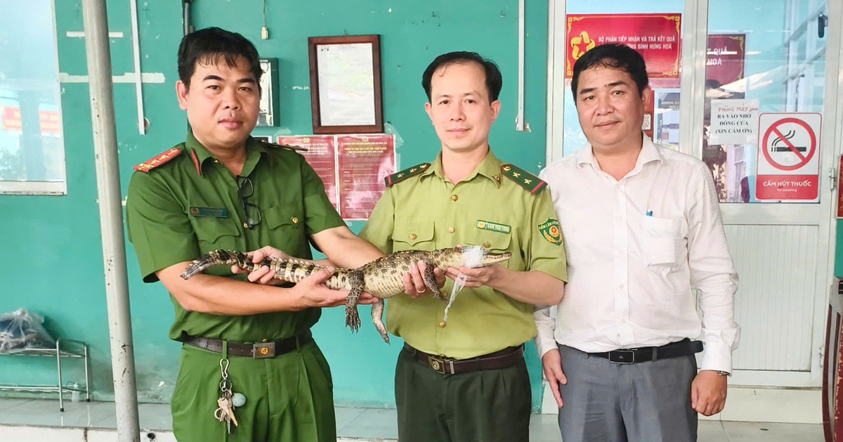 tuoitre.vn
