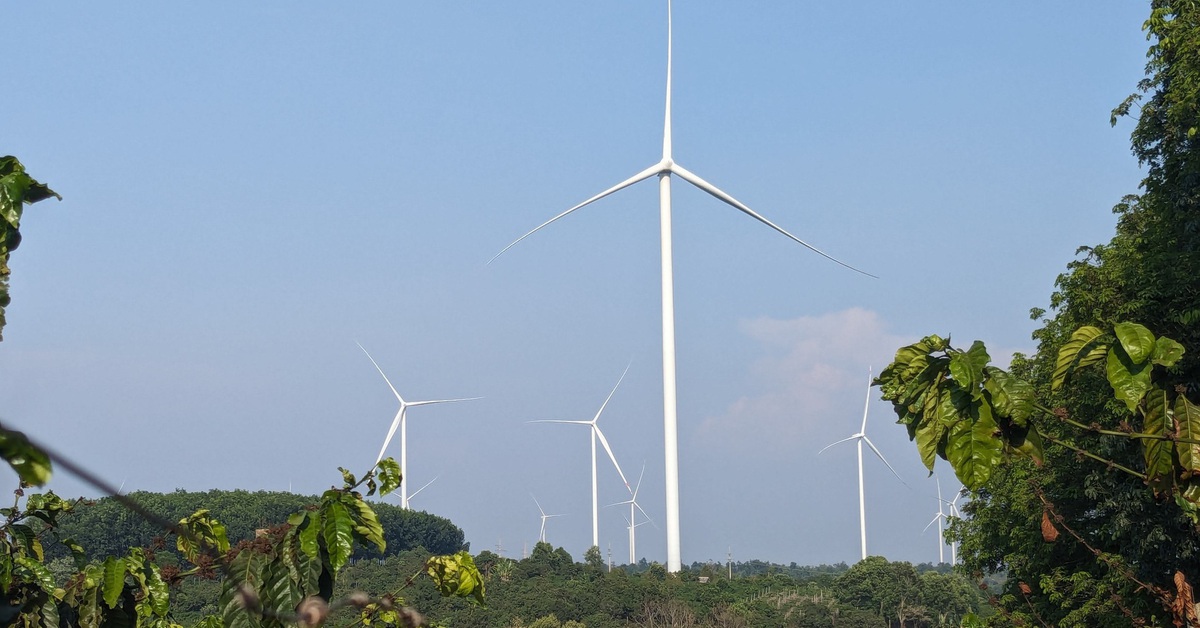 Hàng chục dự án điện gió, điện mặt trời sắp 'đổ bộ' Gia Lai