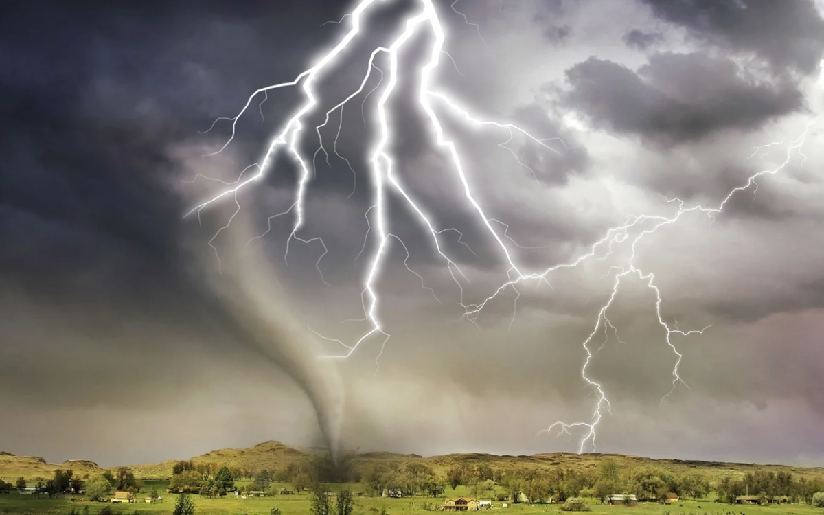 320 triệu cây xanh bị sét đánh chết mỗi năm, thải ra 1 tỉ tấn CO₂