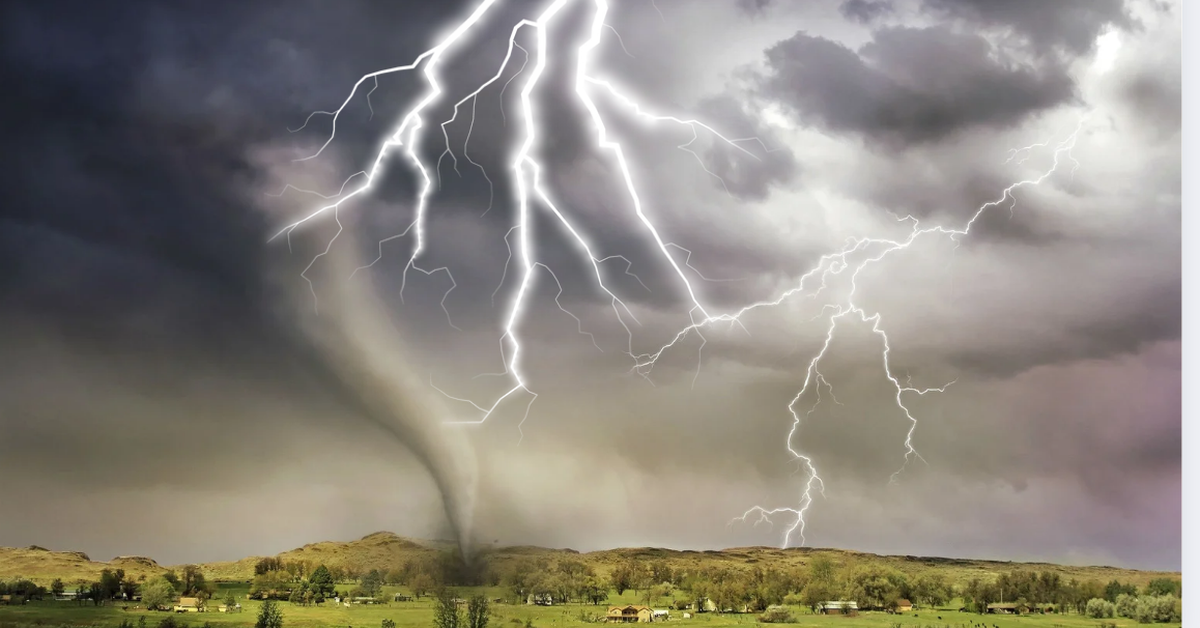 320 triệu cây xanh bị sét đánh chết mỗi năm, thải ra 1 tỉ tấn CO₂